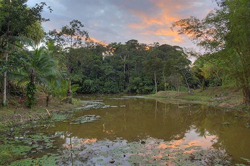 Lodge La Laguna Del Lagarto Eco-lodge