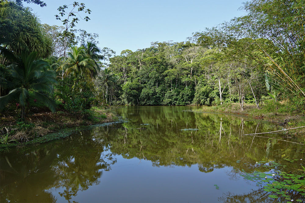 La Laguna Del Lagarto Eco-lodge *